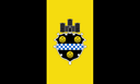 Pittsburgh Flag